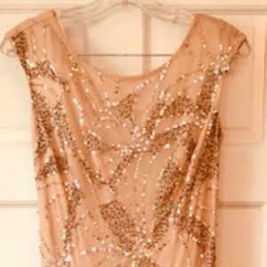 Adrianna Papell Blush Pink Sequin Gown